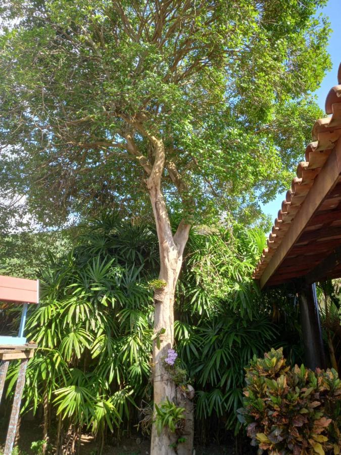Villa Familia Silvia Perico Ilhabela Exterior foto